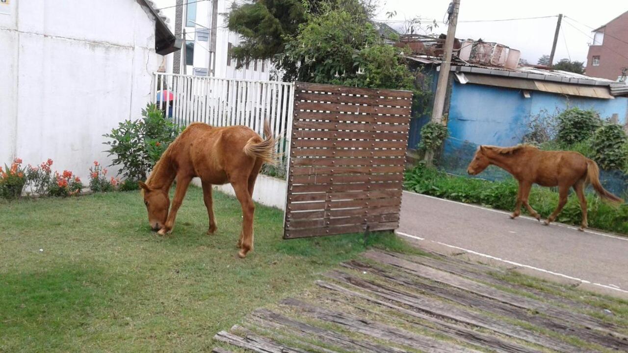 Viblak Heritage Hotel Nuwara Eliya Eksteriør bilde